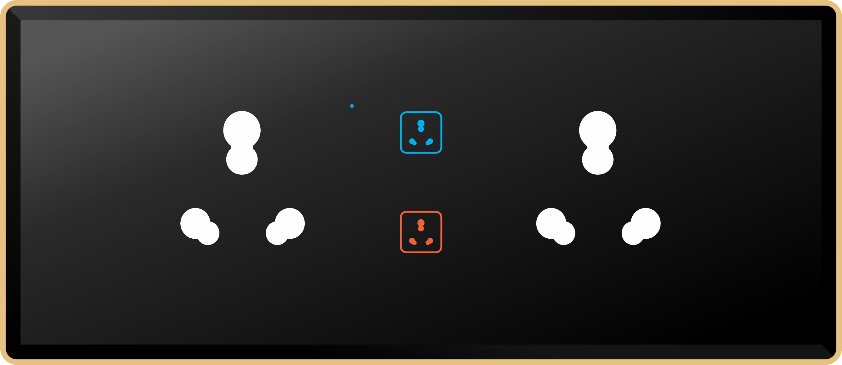2 Switch 2 Socket (16A)