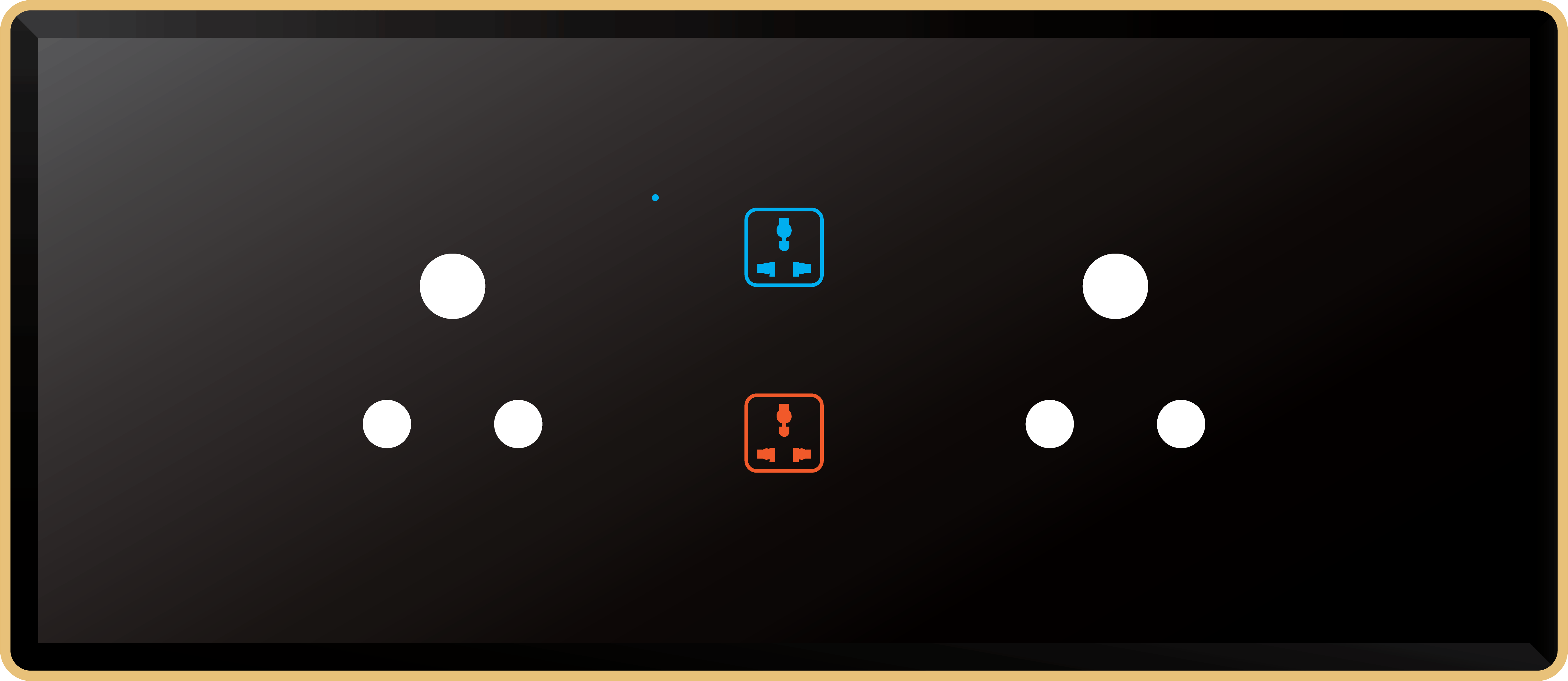 2 Switch 2 Socket (6A)