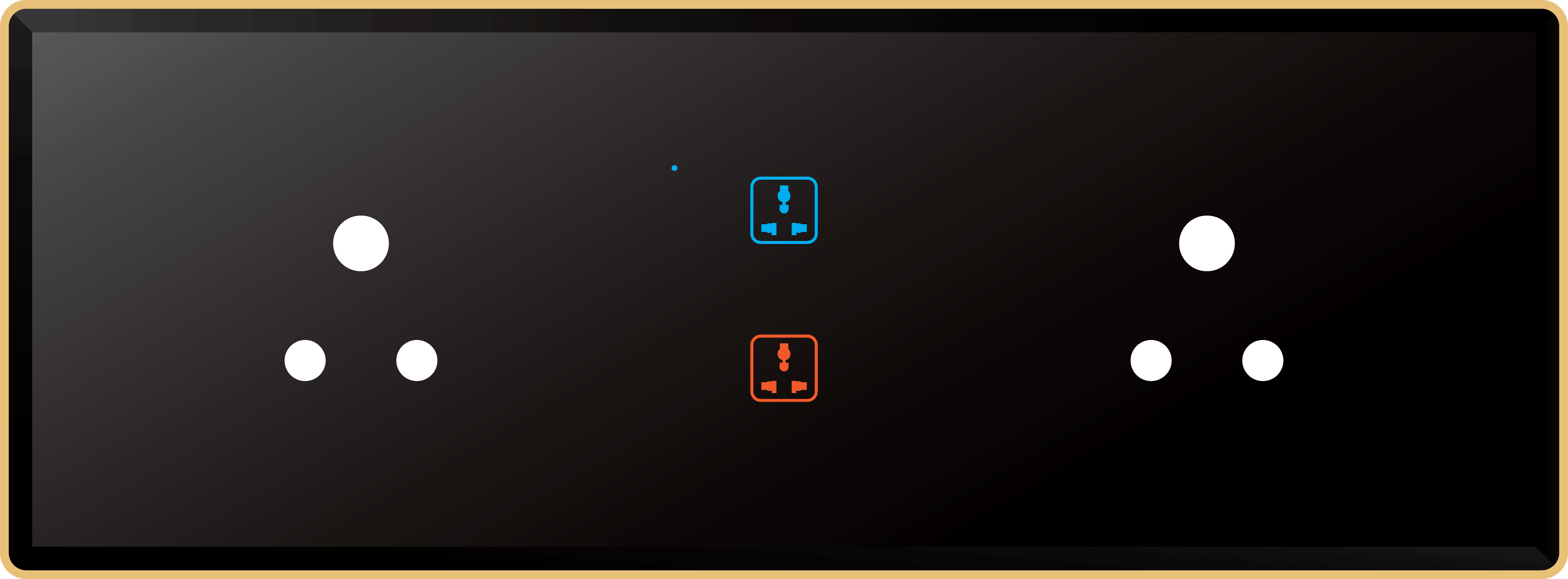 2 Switch 2 Socket (6A)
