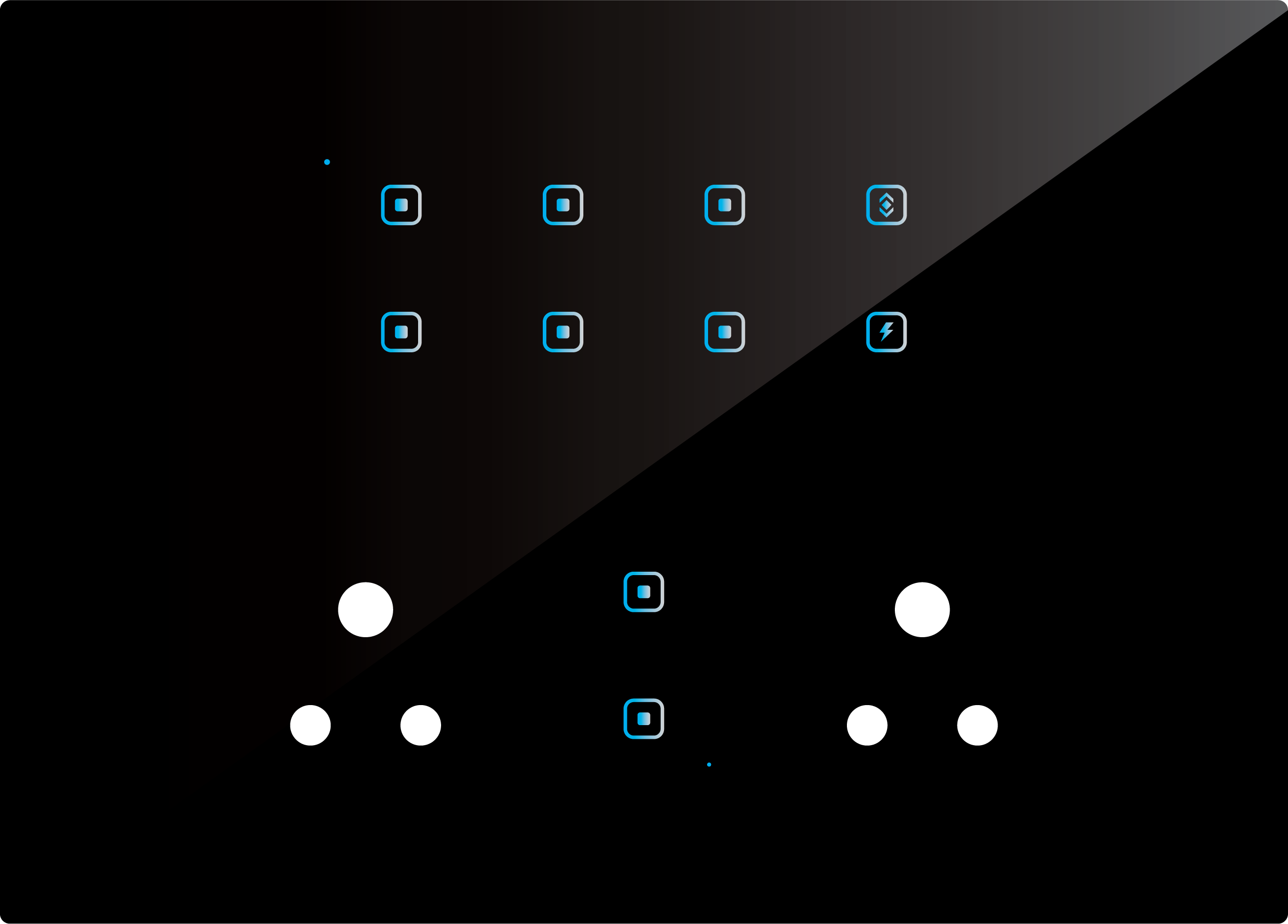 10 Switch 2 Socket (6A)