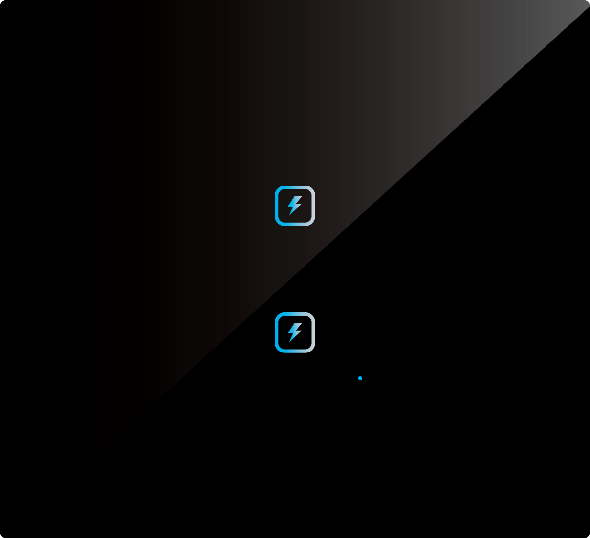 2 Switch (2-16A)