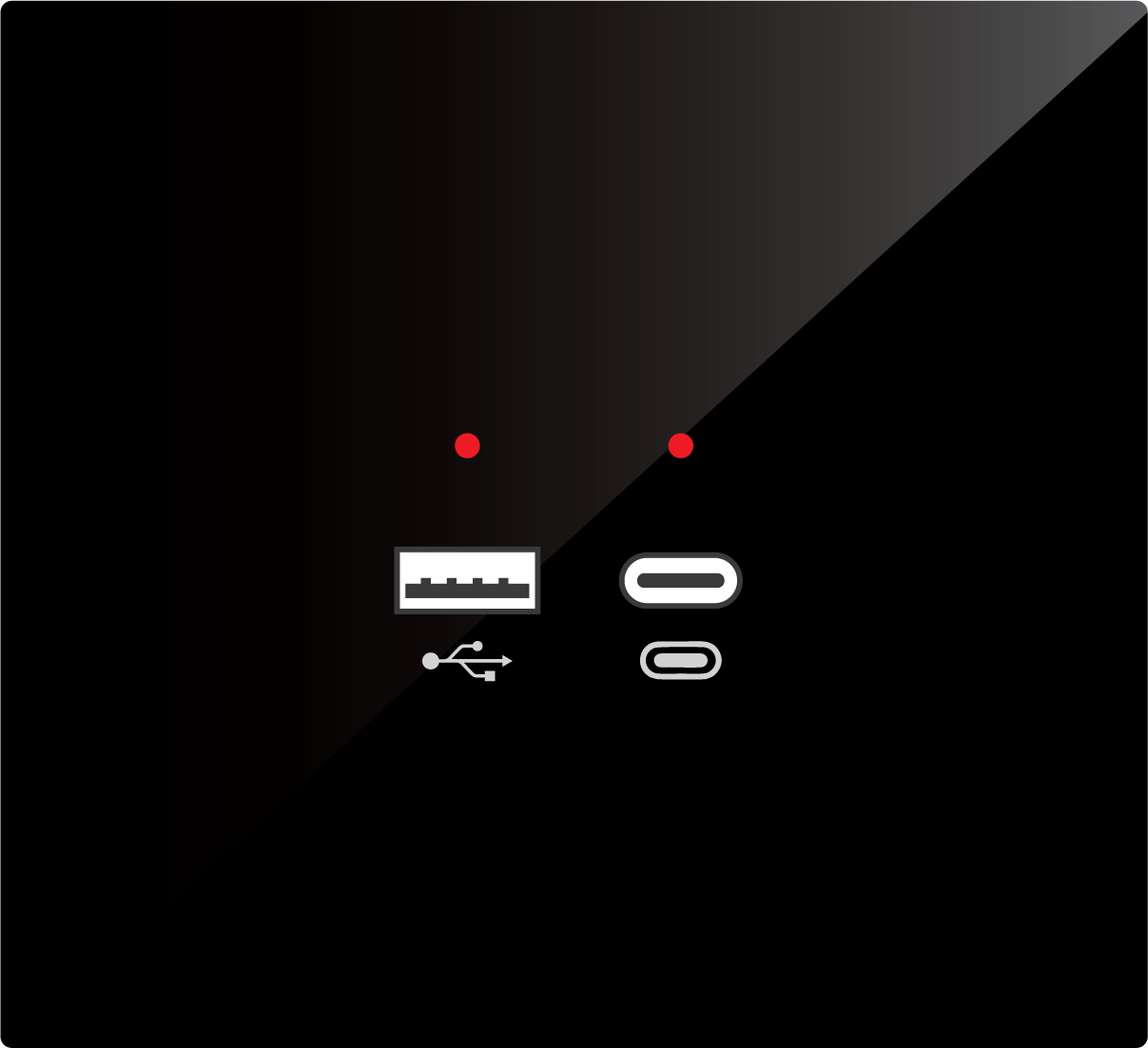 USB & C-Type