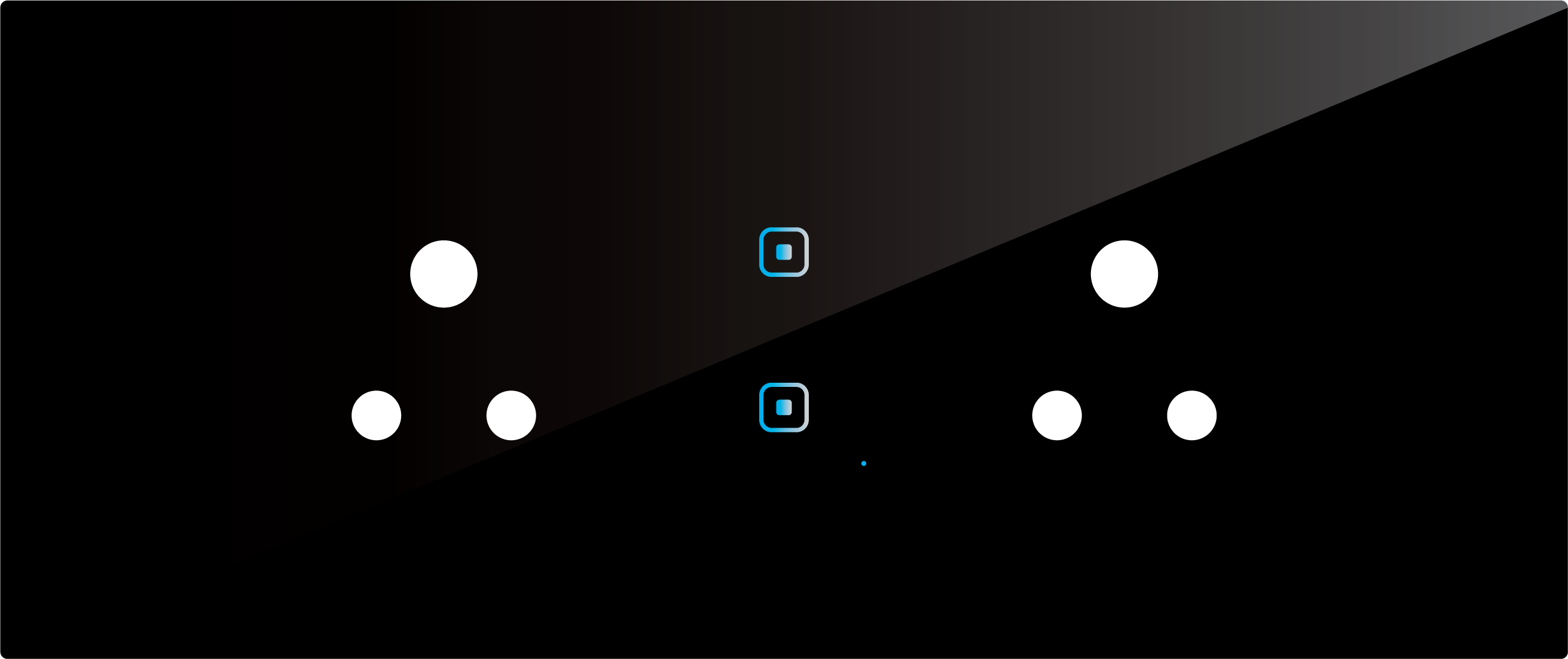 2 Switch 2 Socket (6A)