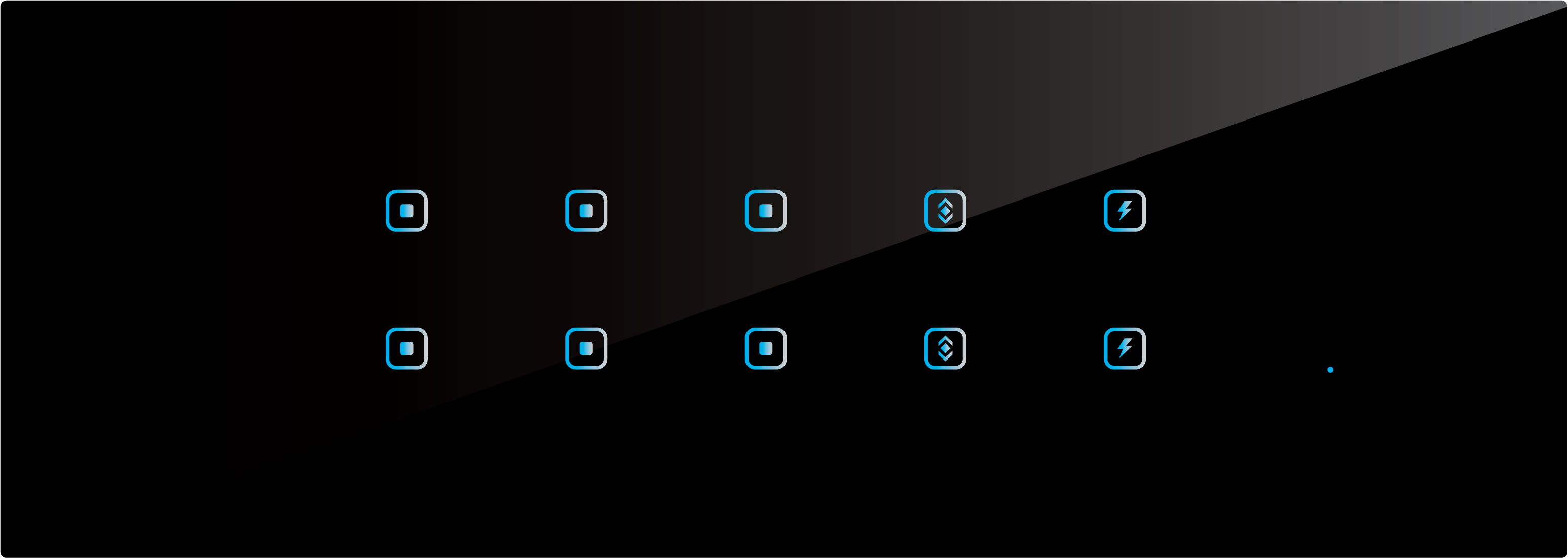 10 Switch