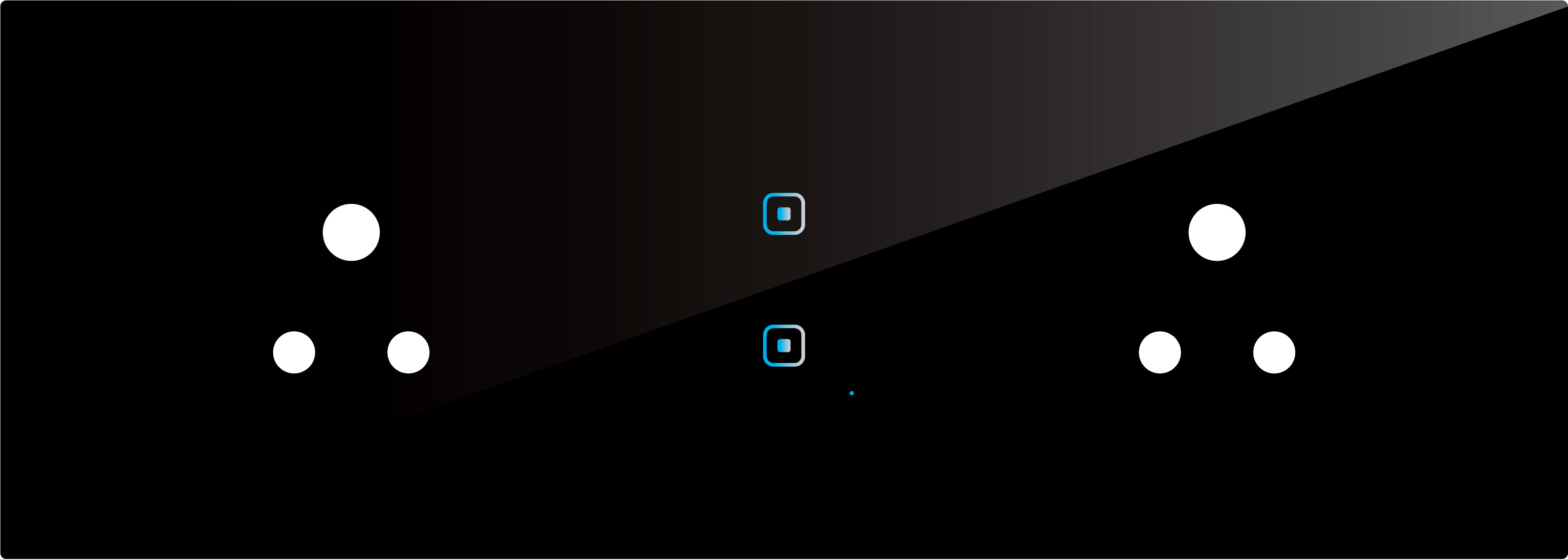 2 Switch 2 Socket (6A)