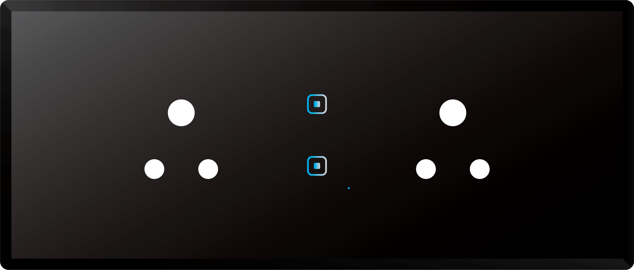 2 Switch 2 Socket (6A)